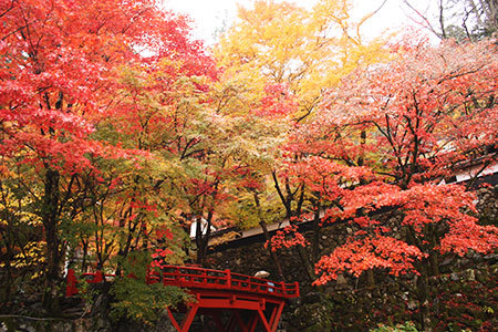 両界山横蔵寺の紅葉 大切な人と行きたい デートスポット 東海