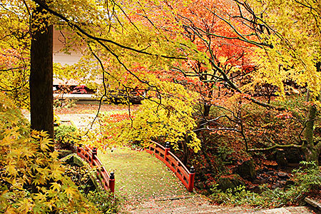両界山横蔵寺の紅葉